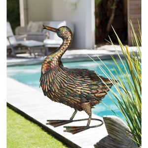 Illumine Duck
