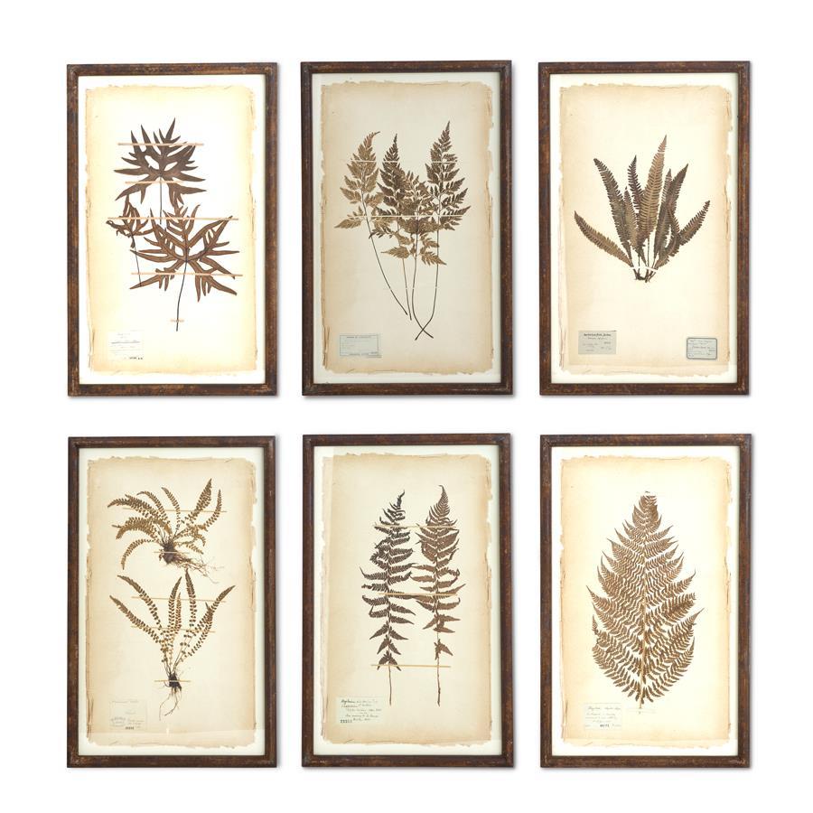 Dried Fern Fern Botanical Print w/Rusty Metal Frame
