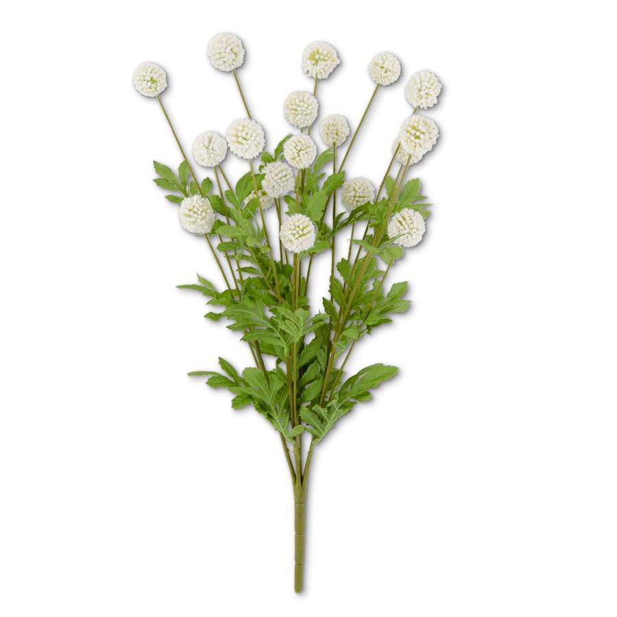 Mini Allium Bush w/Foliage | White