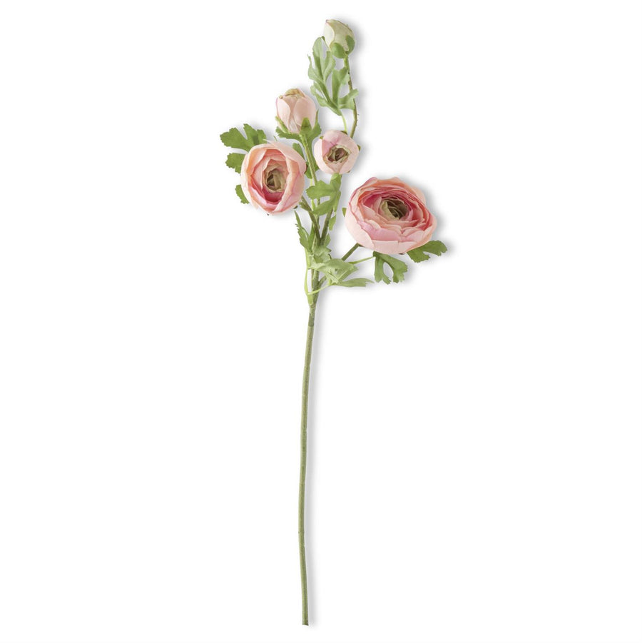 Ranunculus Spray | 21.5"L | Pink