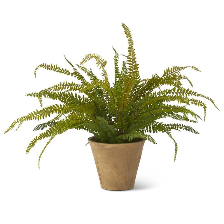 Faux Potted Fern