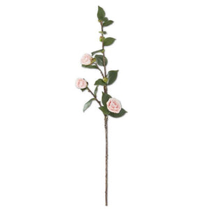 Camellia Stem | 30"L |