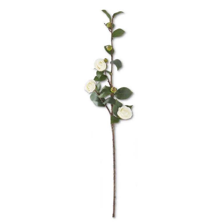 Camellia Stem | 30"L |