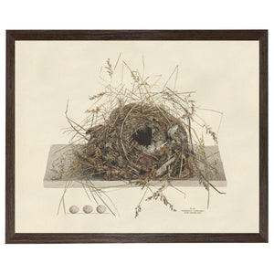 Bird Nest Plate Custom Framed Art