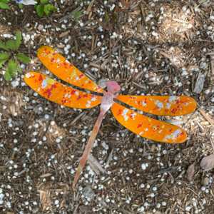 Enamel Dragonfly Garden Stake