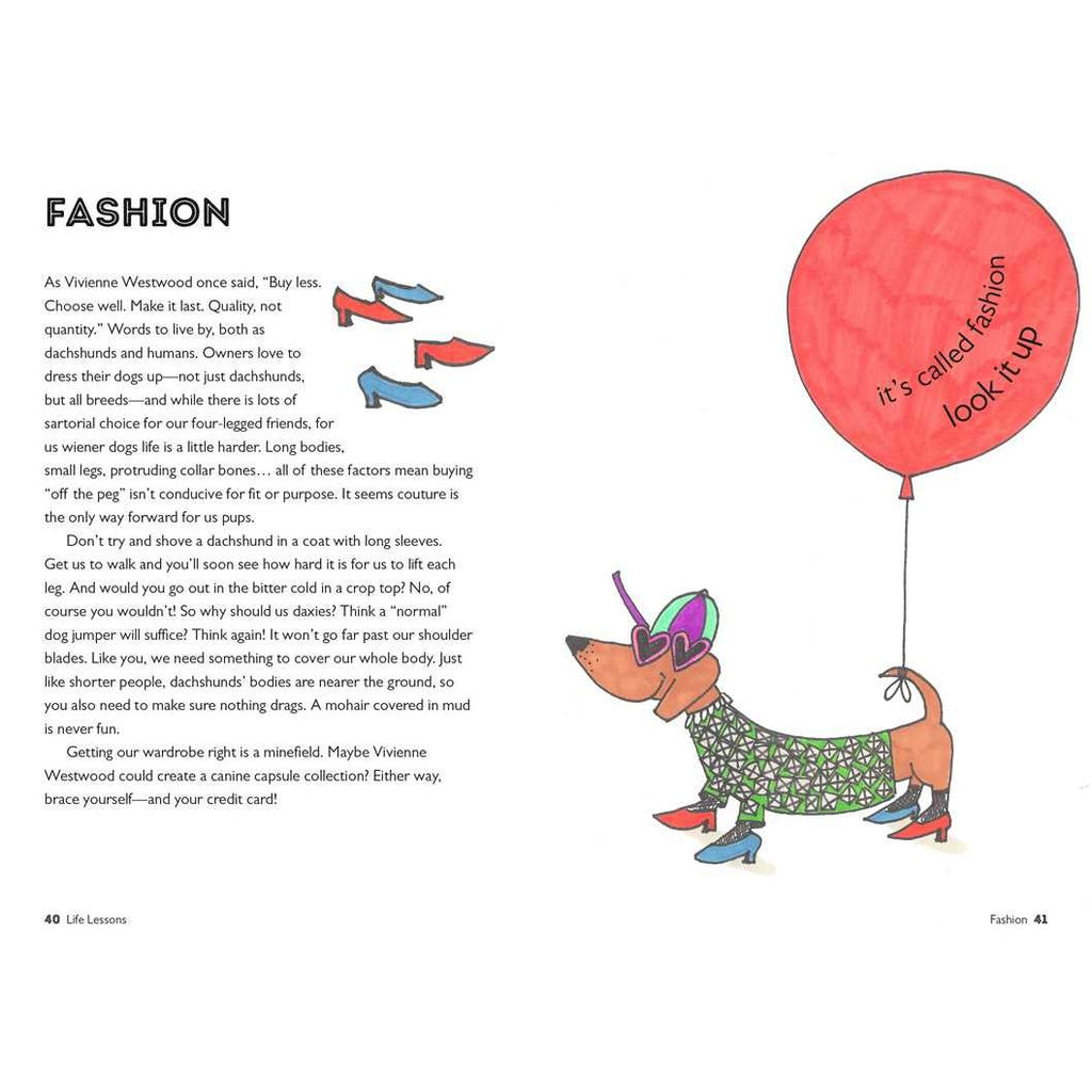 Life Lessons from a Dachshund