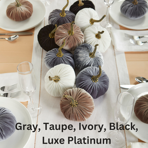 Velvet Pumpkin | Small- Gold