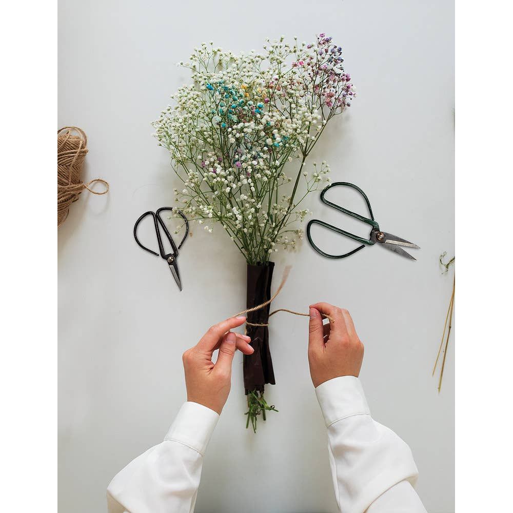 Abbott - Flower Stem Shears - 3 Asst Colors: Medium (7"L)