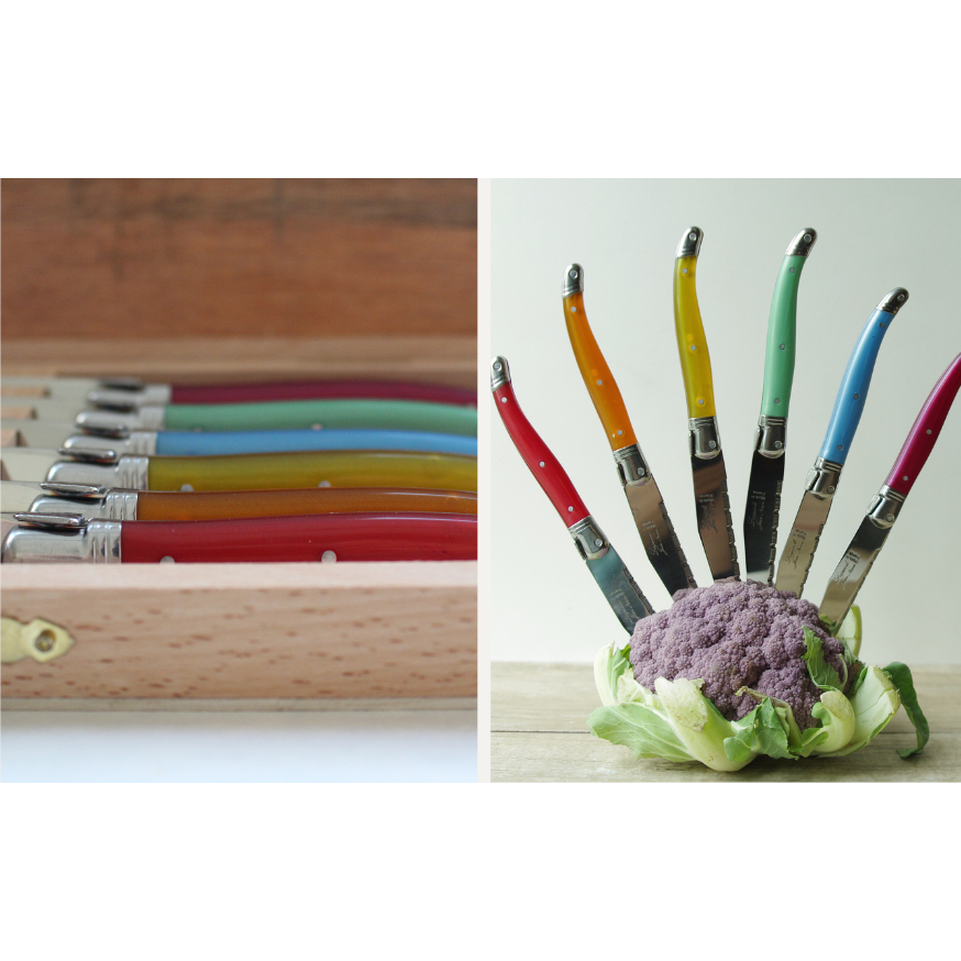 S/6 Laguiole Stainless Steel Knives | Rainbow