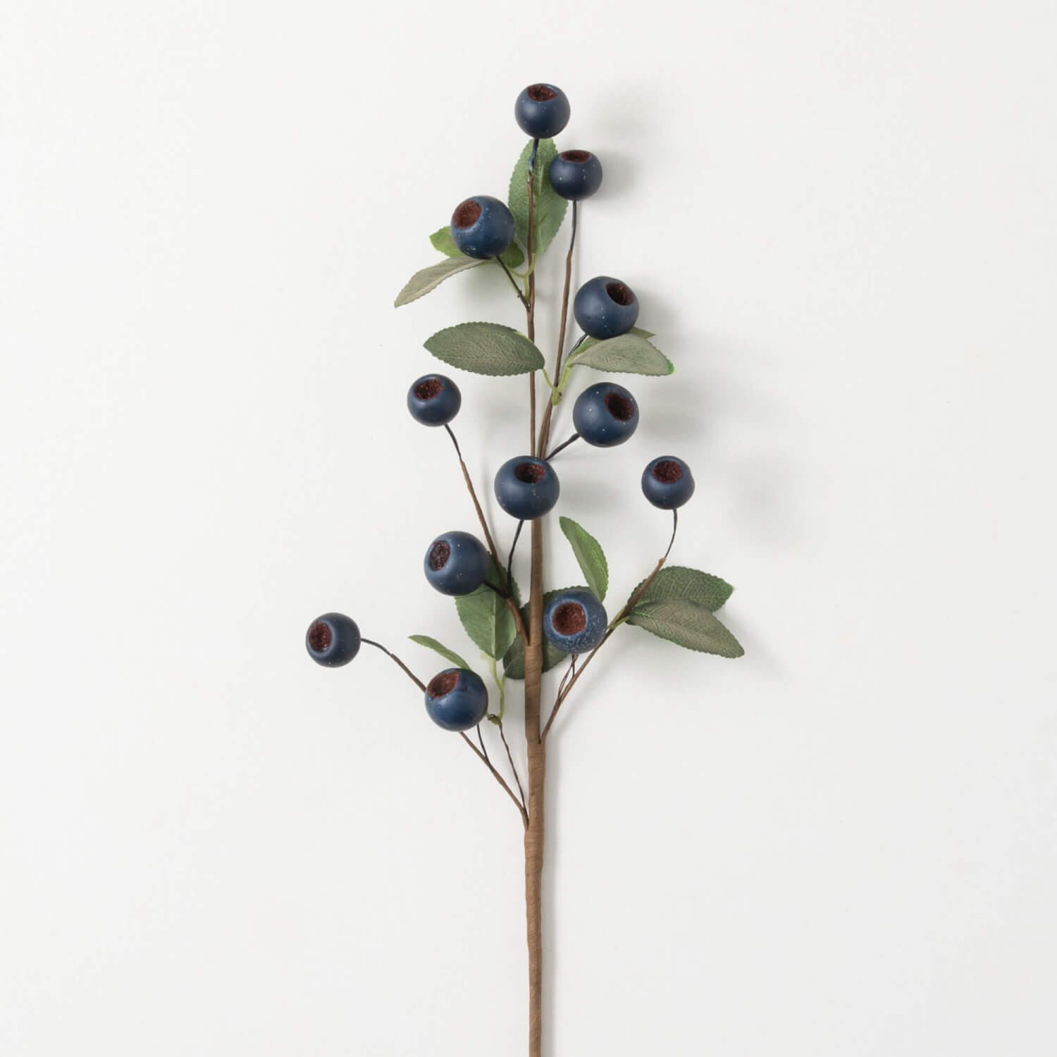 Blue Pod & Green Leaf