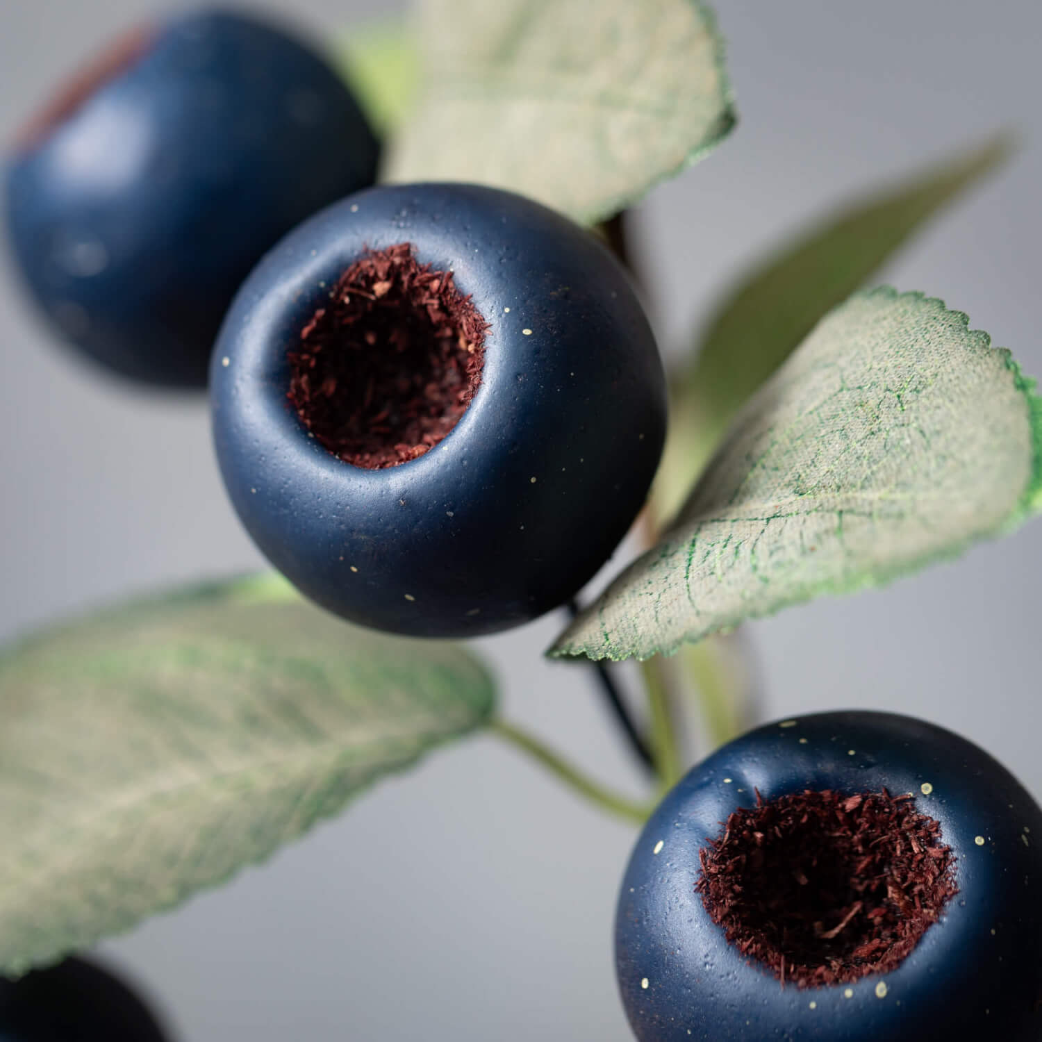 Blue Pod & Green Leaf