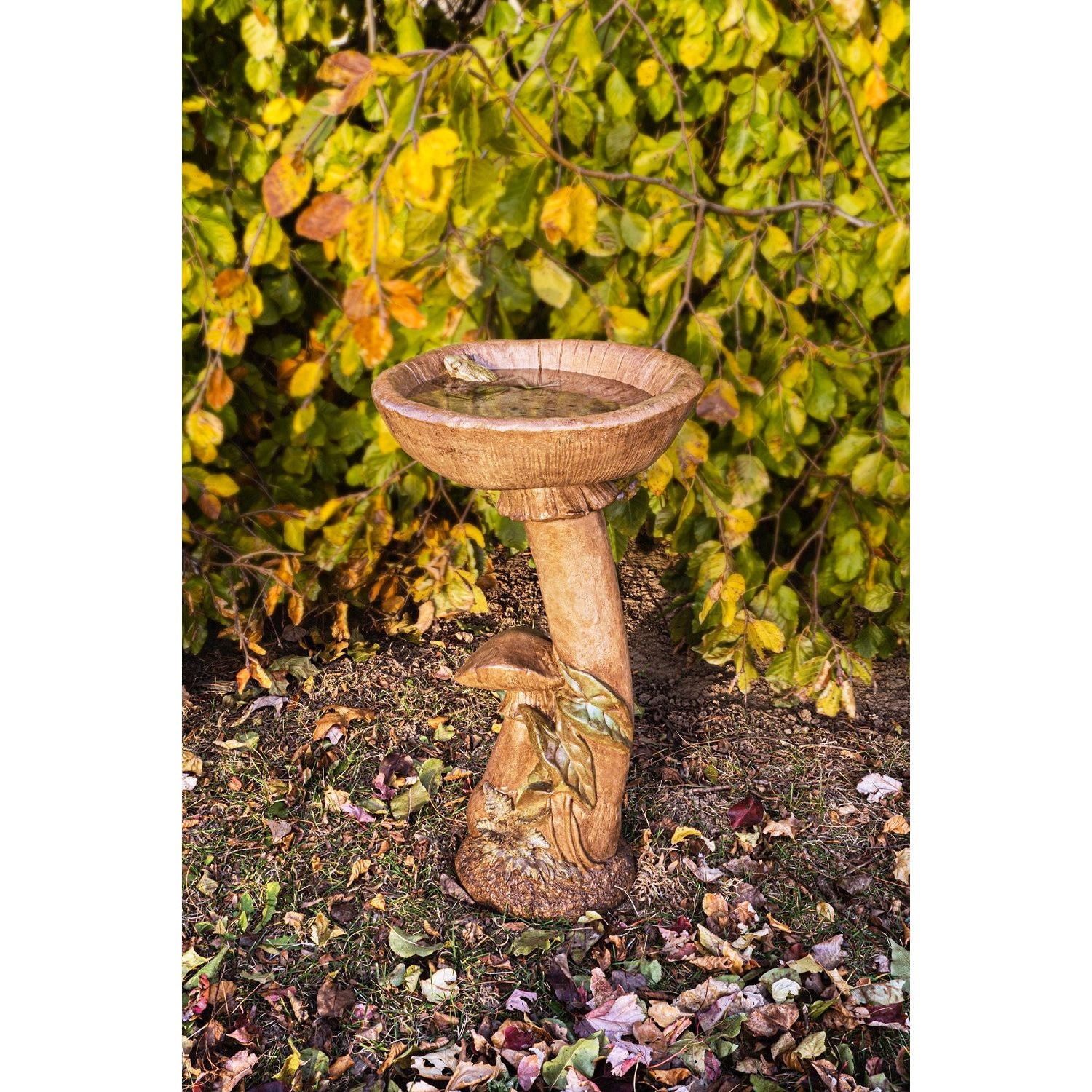 Mushroom Birdbath