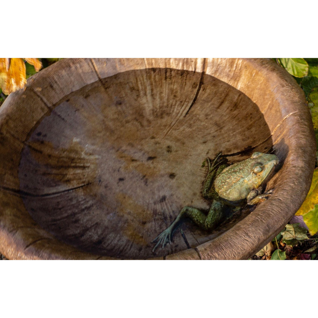 Mushroom Birdbath