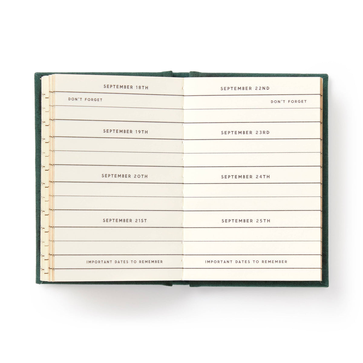 Chronicle Books - Brass Monkey Dates People Get Mad If I Forget Tiny Diary