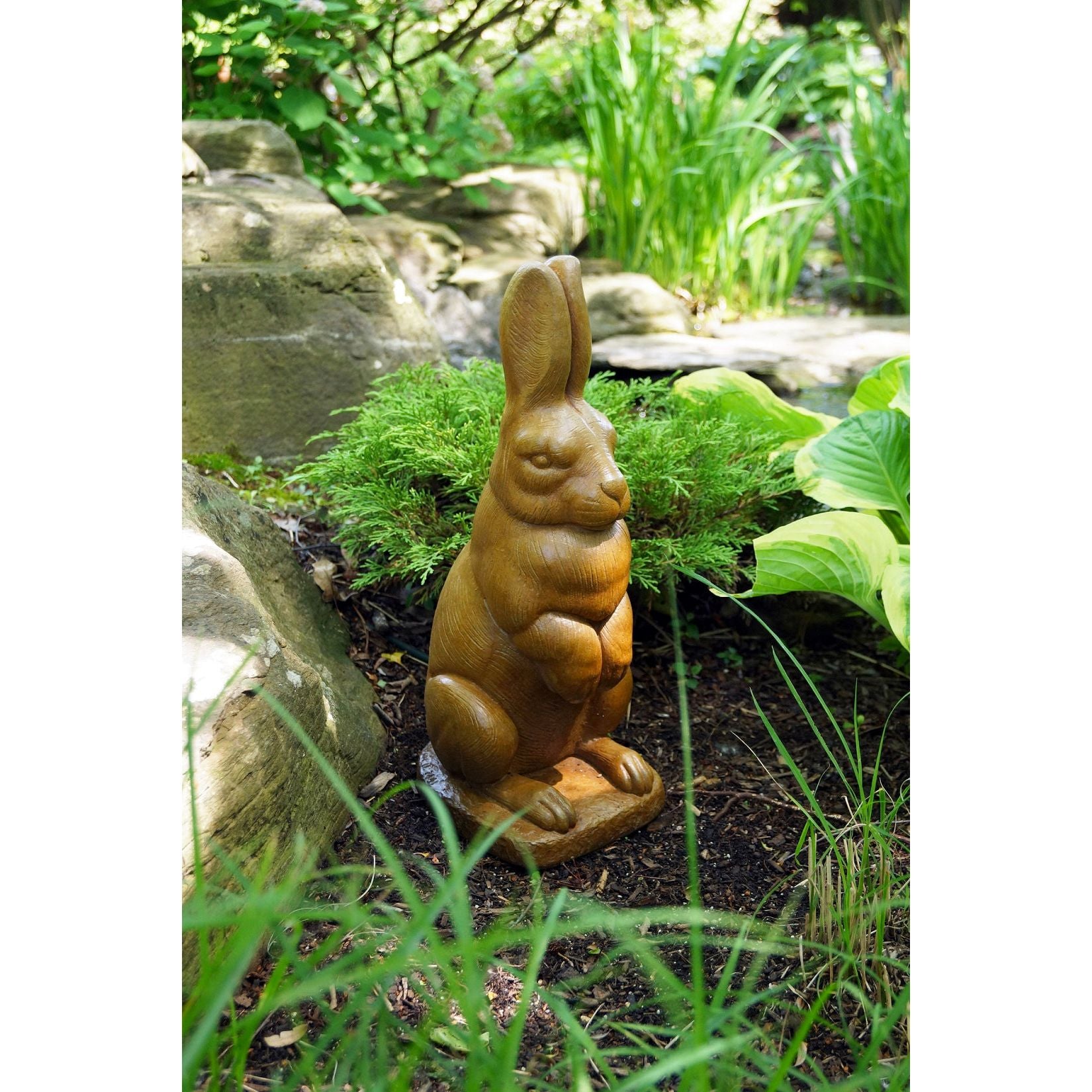 English Hare