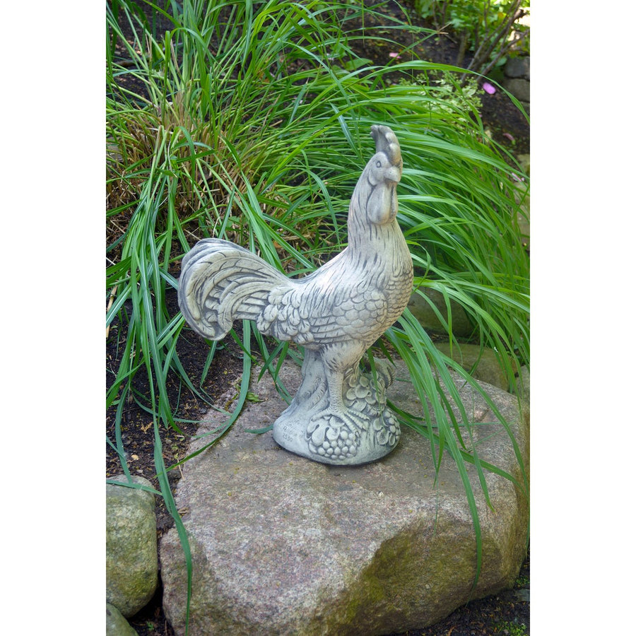Provence Rooster