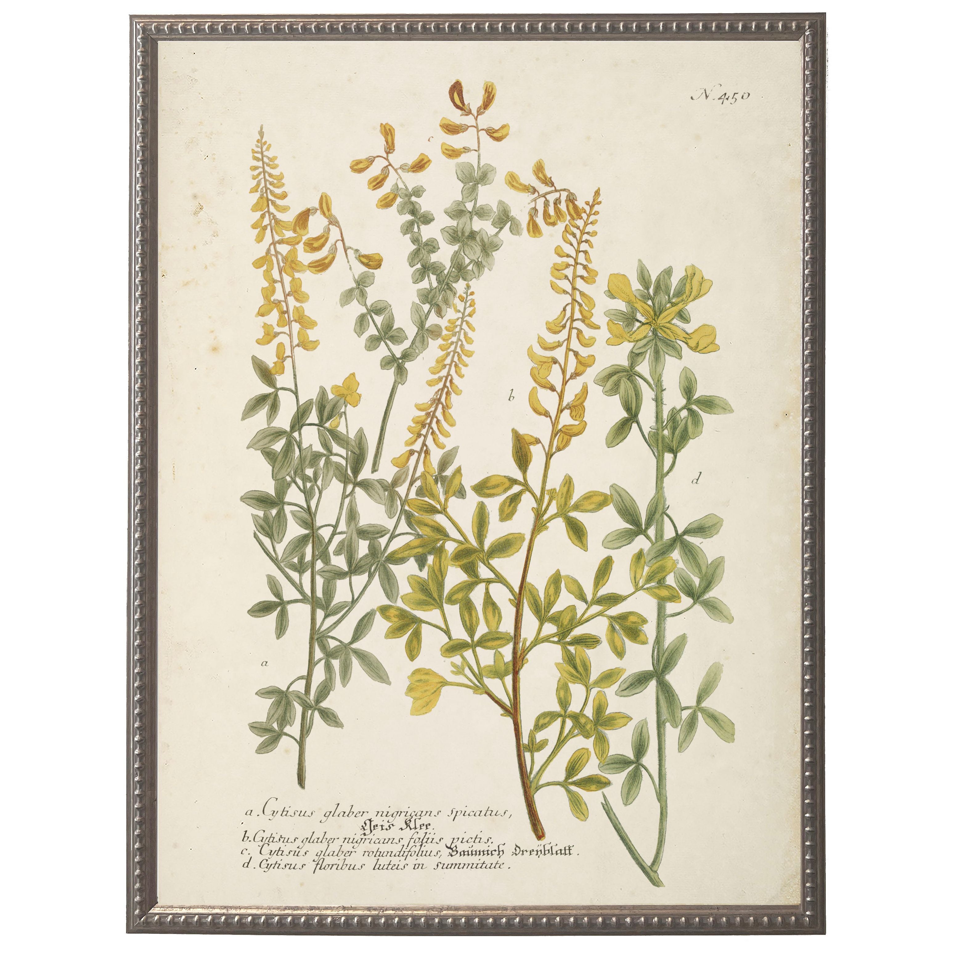 Vintage Flower Bookplate | 16" x 20"