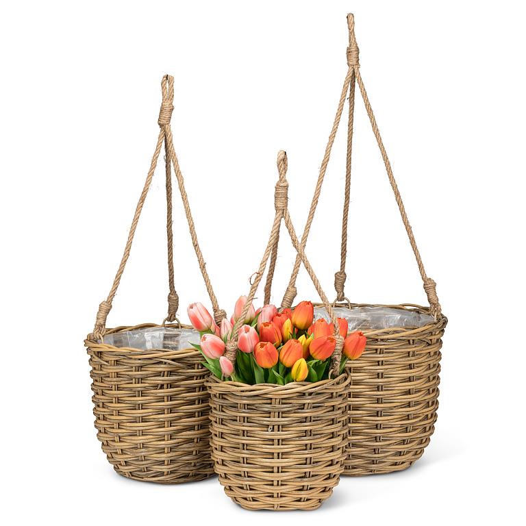 Hanging Basket w/Handles