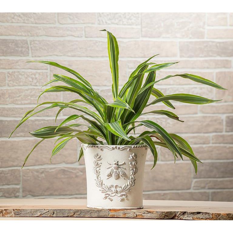 Embossed Bee Crest Planter