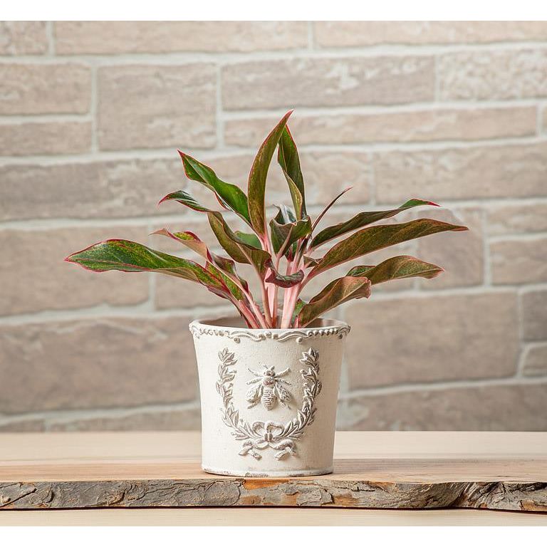 Embossed Bee Crest Planter