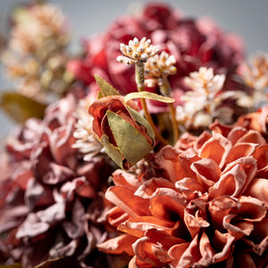 Fall Dried Mum Bush