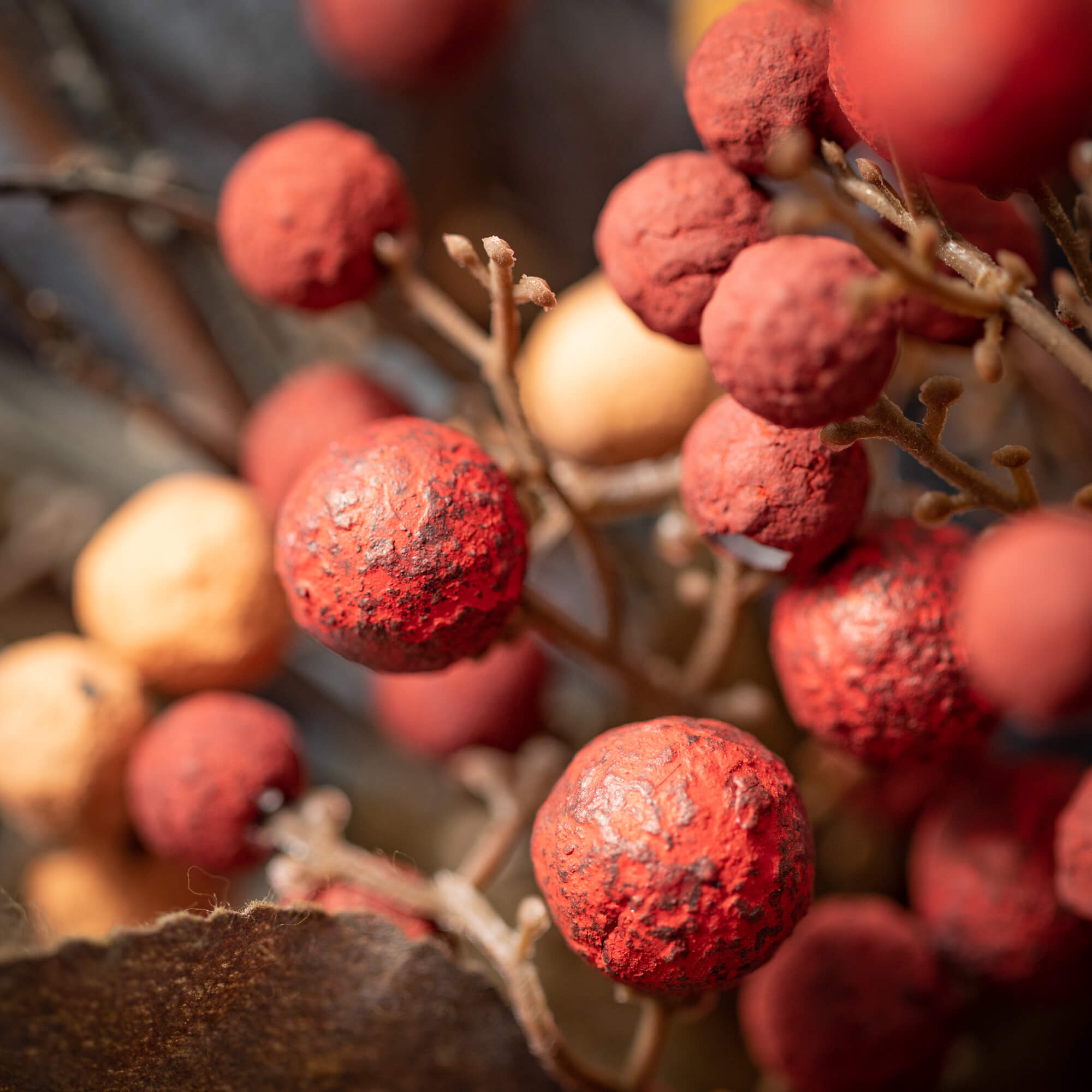 Warm Fall Berry Pick