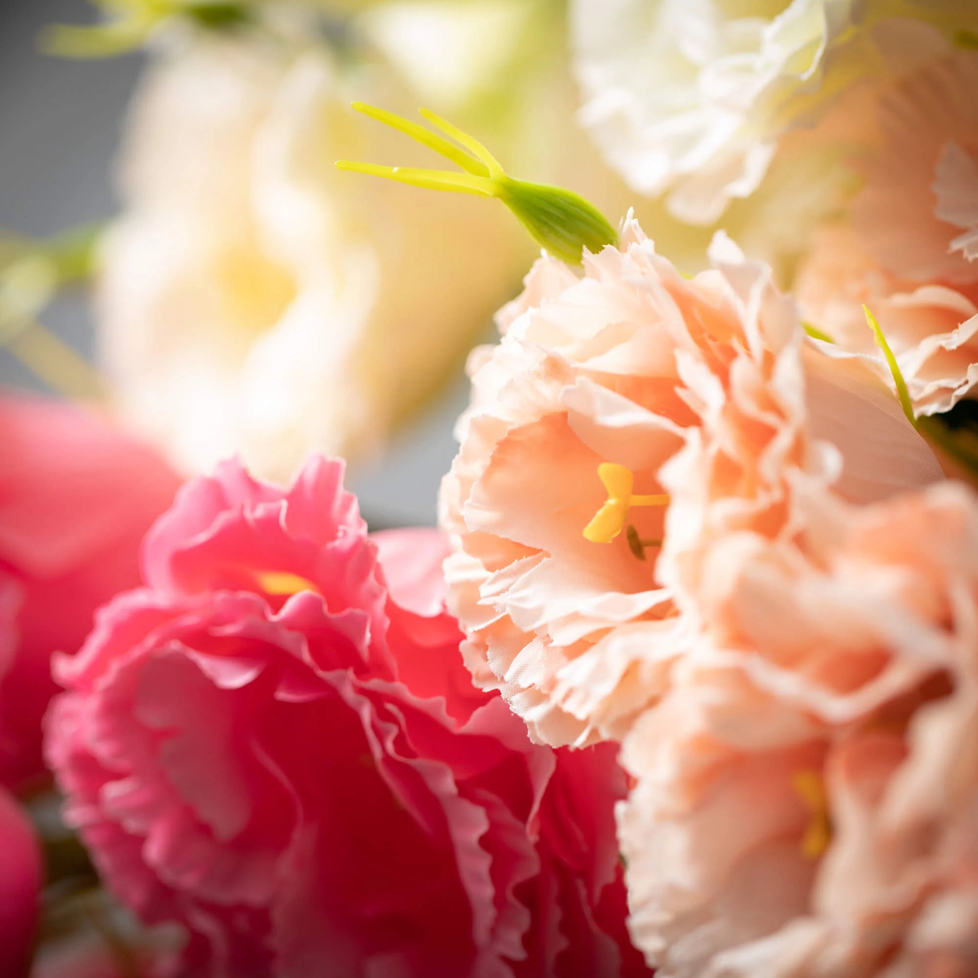 Spring Lisianthus Bundle