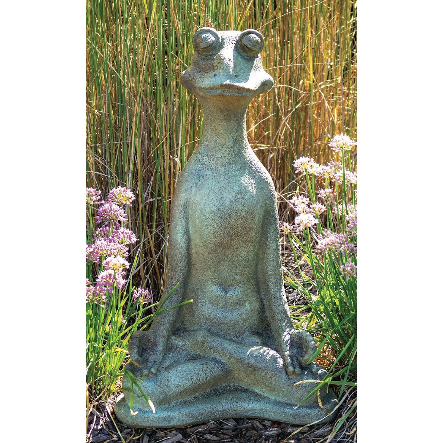 Zen Frog