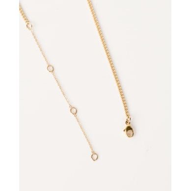 Seashell Necklace