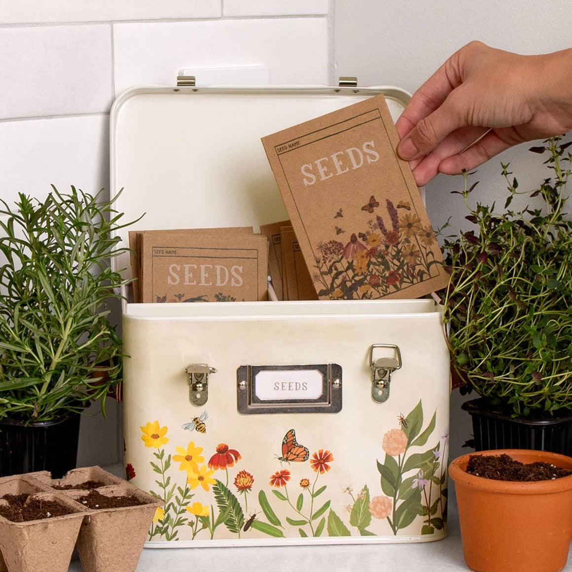 Tin Seed Box | Wildflower Botanicals