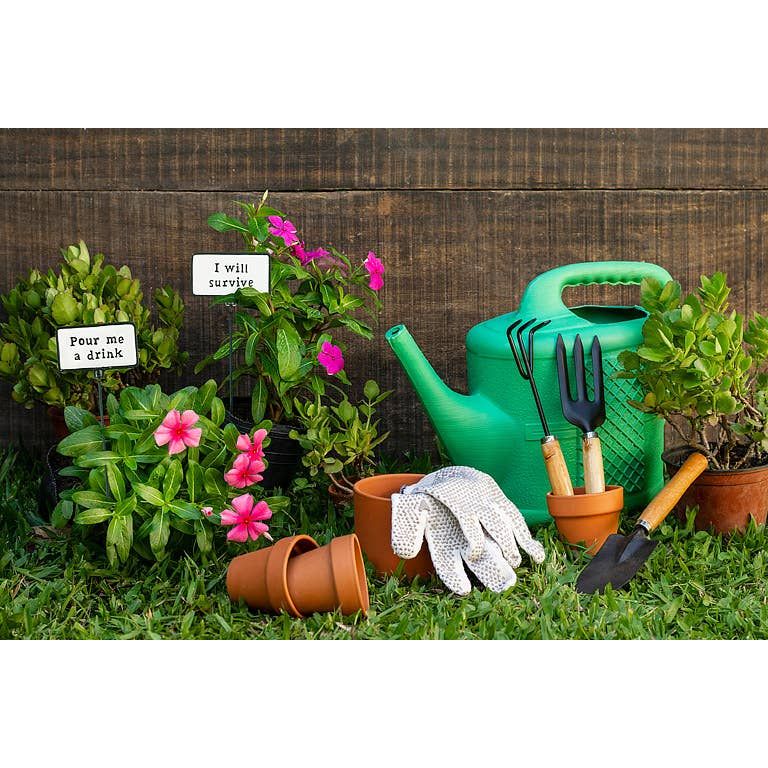 Abbott - Plant Signs-Antique White-5 Assorted-2x3.5"L