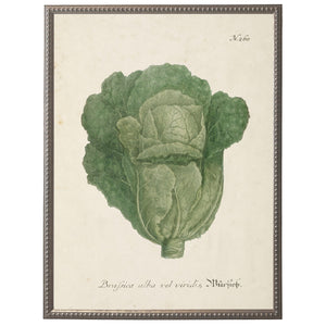 Vintage Leafy Green Bookplate w/Distressed Background