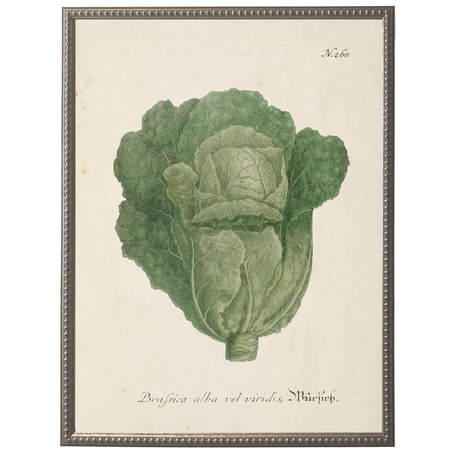 Vintage Leafy Green Bookplate w/Distressed Background