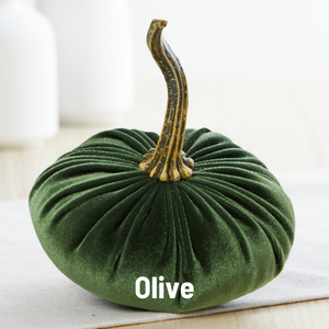 Velvet  Pumpkin | Small - Avocado