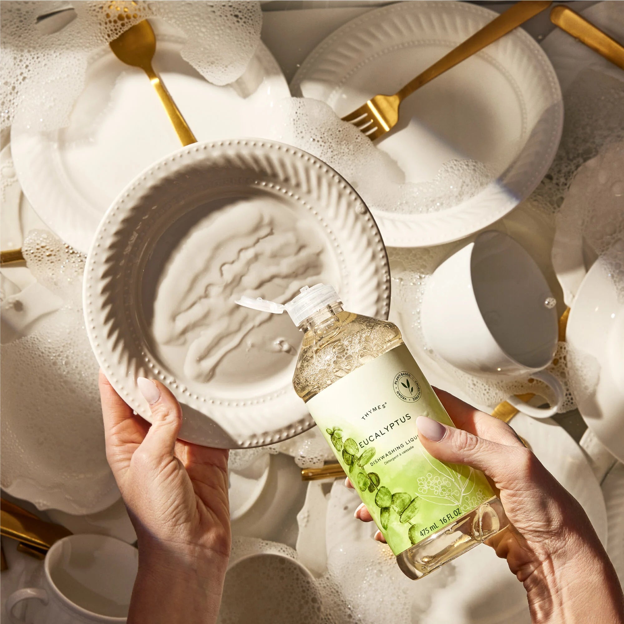 Botanical Blends Dishwashing Liquids