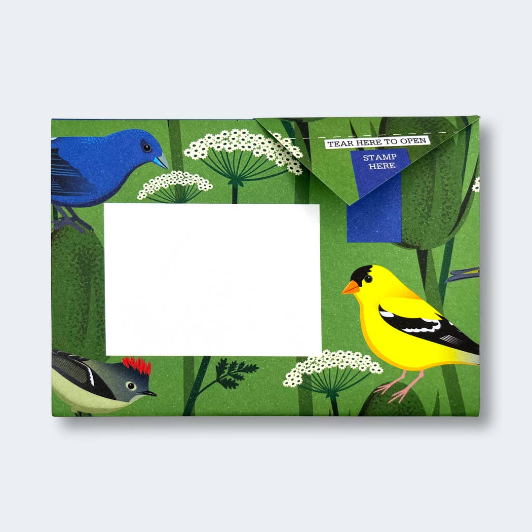Pigeon Letter Pack | Carnival of Colour