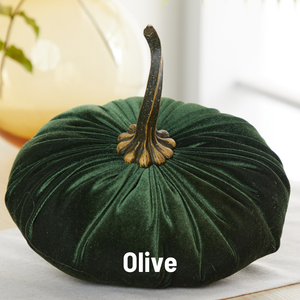Velvet Pumpkin | Extra Large - Olive