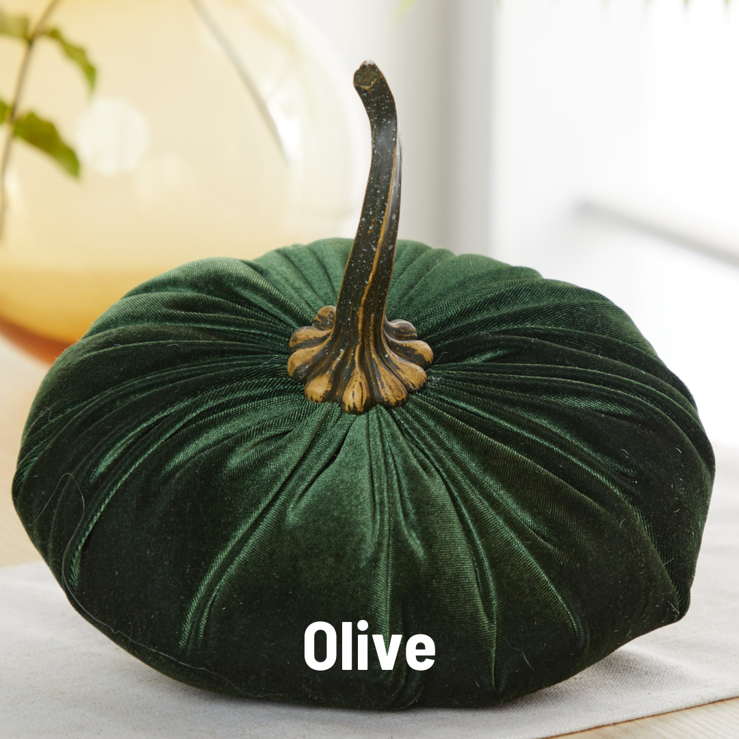 Velvet Pumpkin | Extra Large - Olive