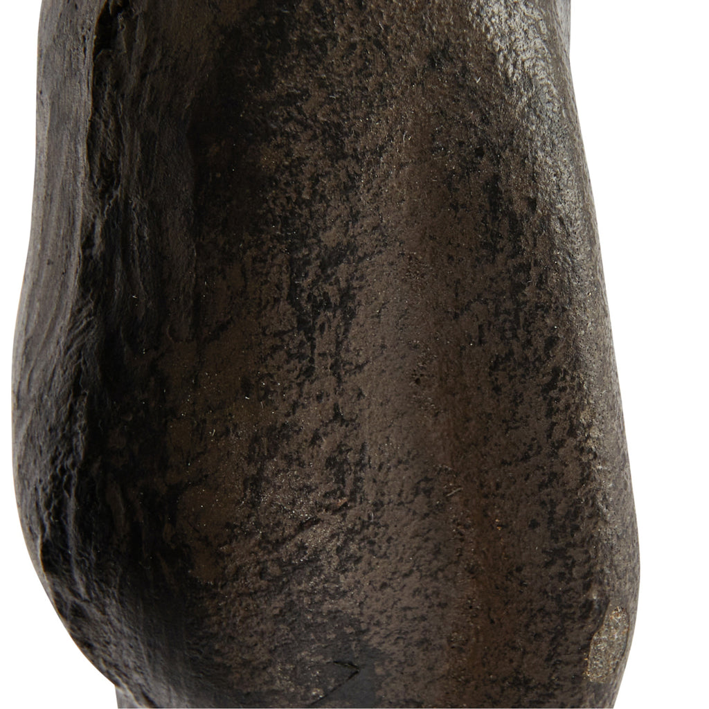 Cast Iron Kissing Frog Prince