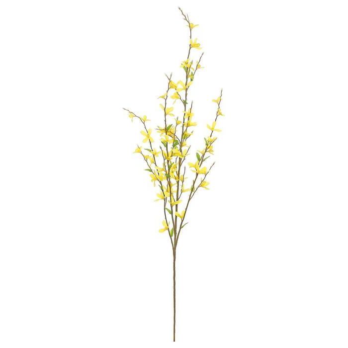 Forsythia Spray