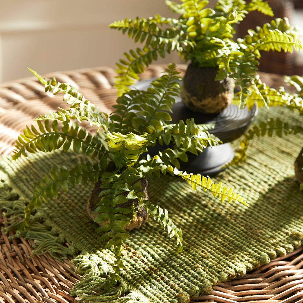 Boston Fern Drop-In