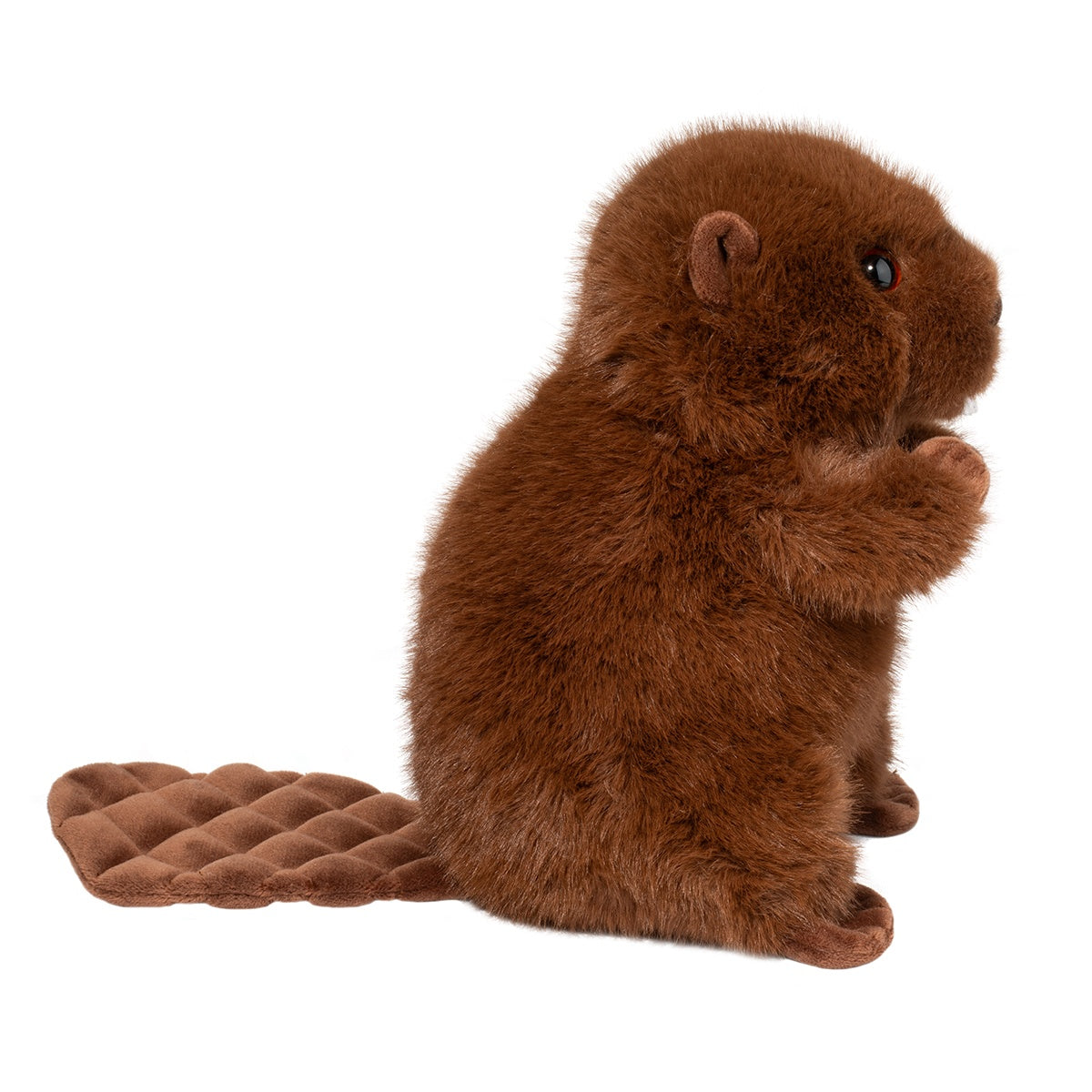 Bev Beaver
