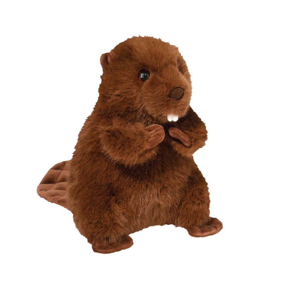 Bev Beaver