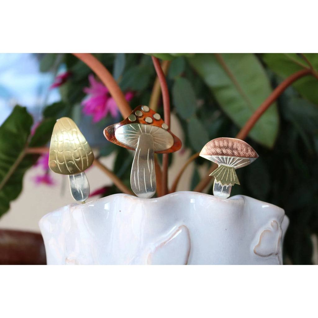 Plant Art | Plant Pals
