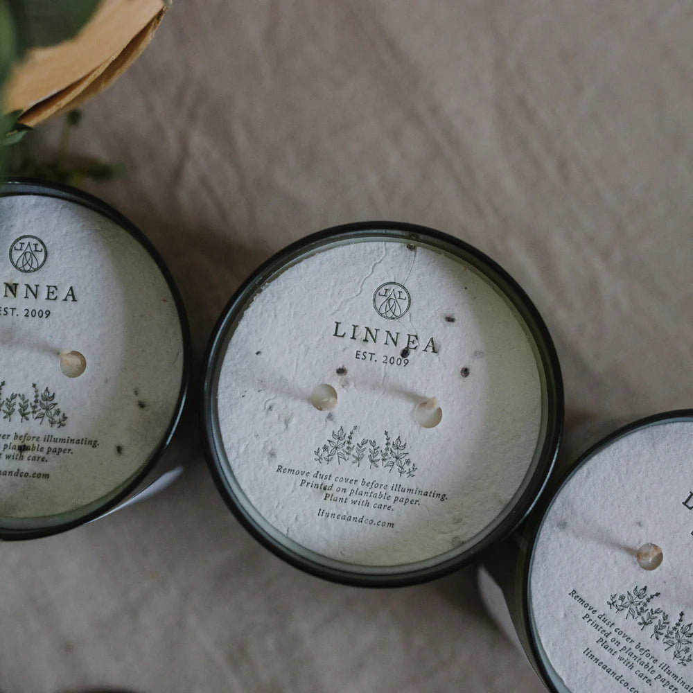 Linnea Candles | Botanik Collection | 2 Wick Candles