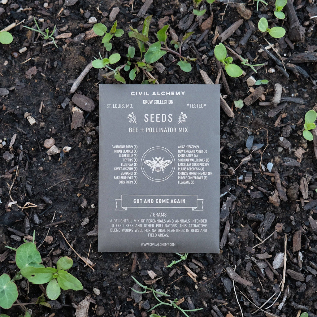 Wildflower Seed Mix | Pollinator Garden