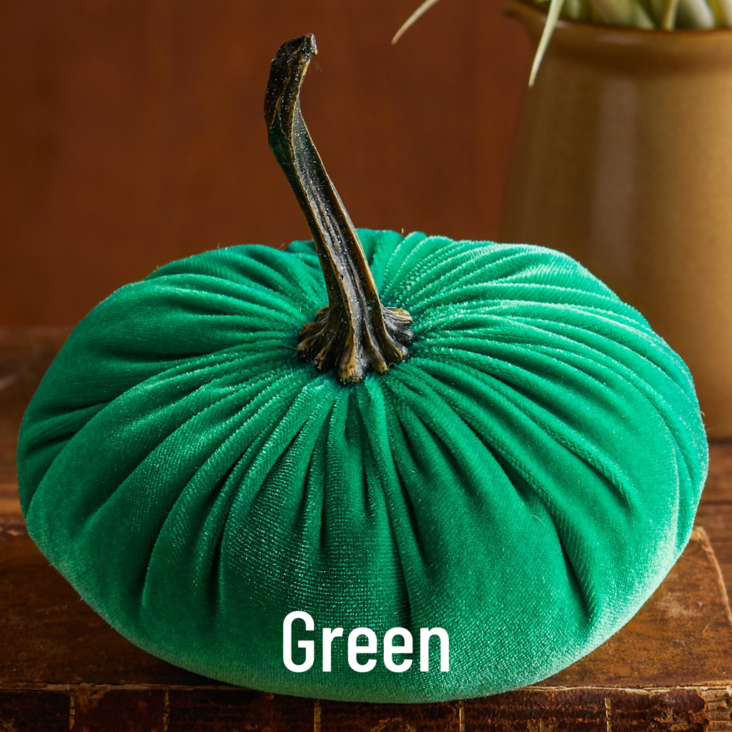 Velvet Pumpkin Large - Harvest