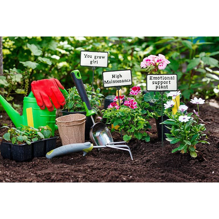 Abbott - Plant Signs-Antique White-5 Assorted-2x3.5"L