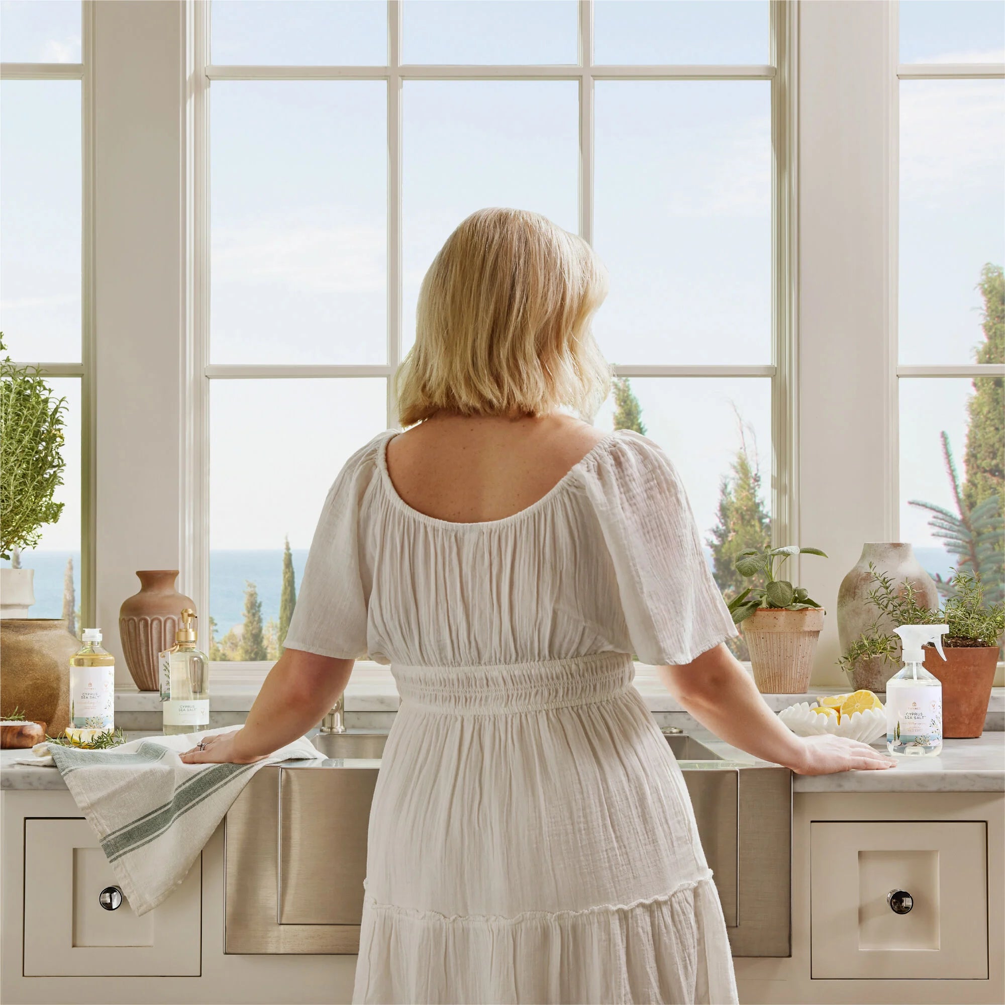 Botanical Blends Dishwashing Liquids