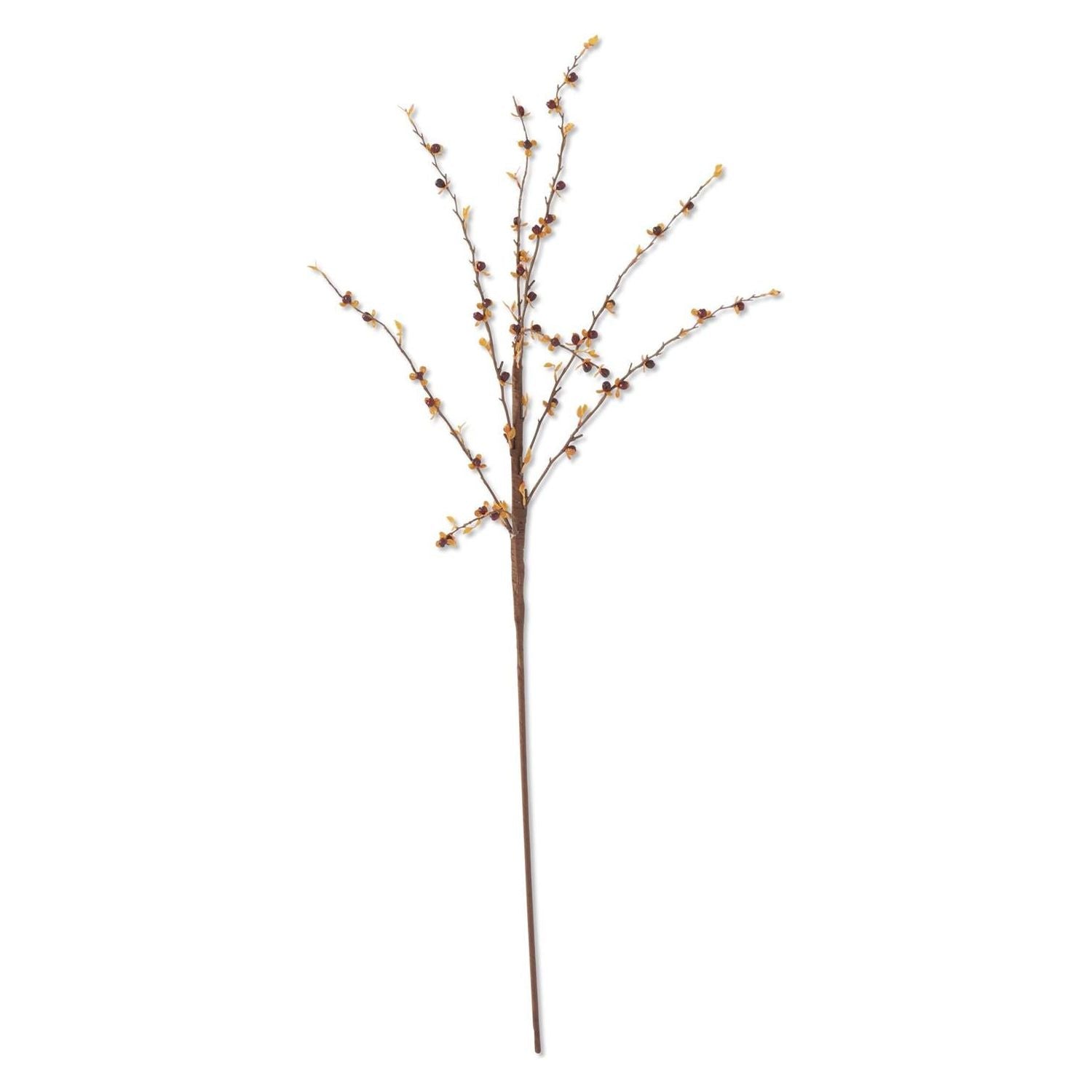 Bittersweet Stem | Dark Orange